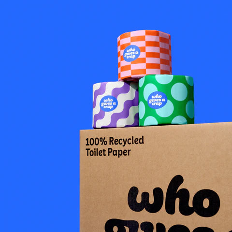 Recycled Paper Toilet Paper : 48 Rolls